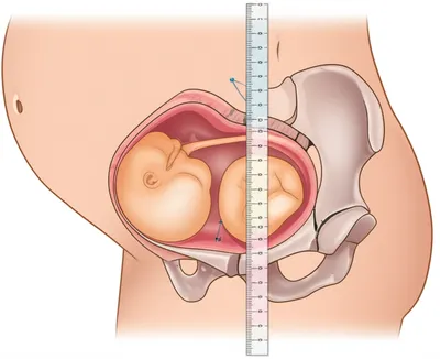 Illustration stations - Image 1