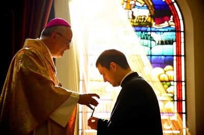 Illustration institutions - Image 1