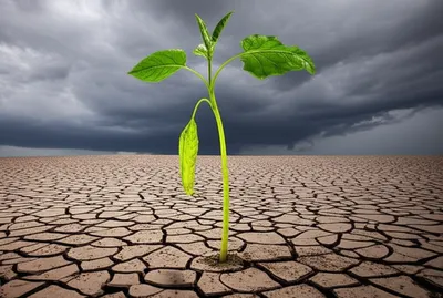 Illustration unpromising - Image 1