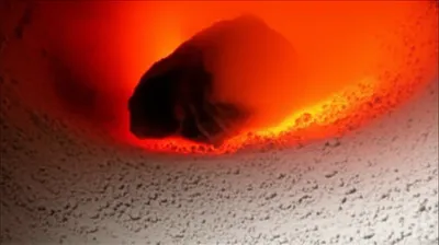 Illustration calcined - Image 1