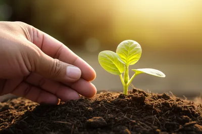 Illustration assures - Image 1