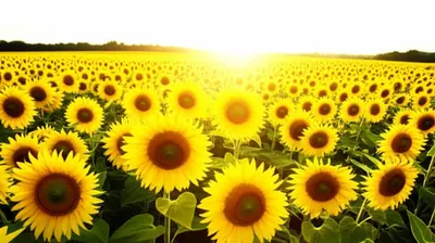 Illustration likely - Image 1