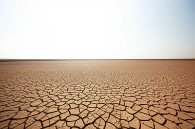 Illustration unseeded