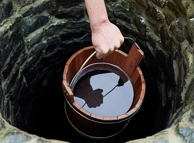 Illustration pulled - Image 1