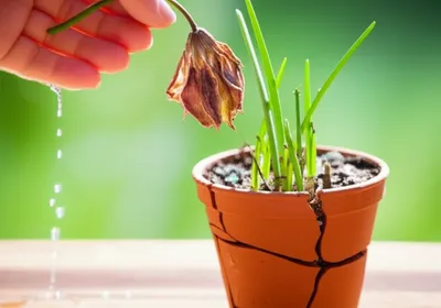 Illustration rehabilitating - Image 1