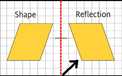 Illustration reflex - Image 3