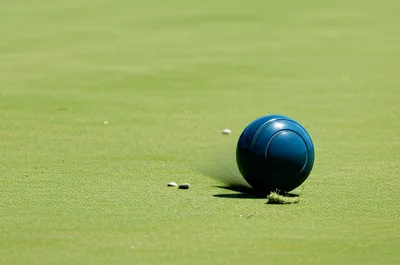 Illustration rubs - Image 1