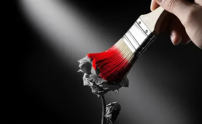 Illustration blanched - Image 1