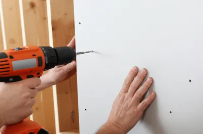 Illustration gib - Image 1