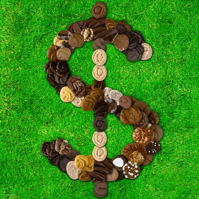 Illustration businesses - Image 1