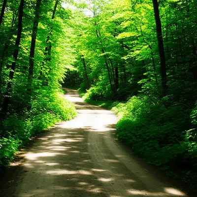 Illustration rambling