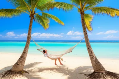 Illustration low - Image 1