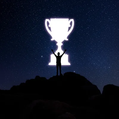 Illustration bid - Image 1