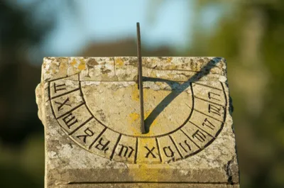 Illustration cock - Image 1