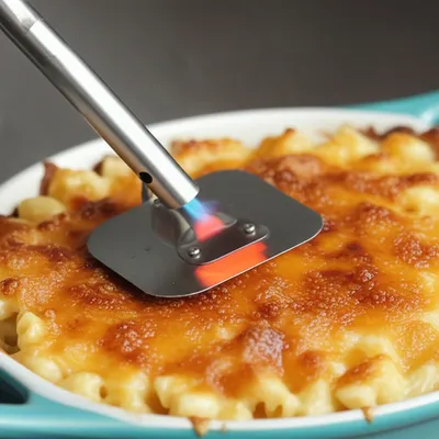 Illustration salamander - Image 1