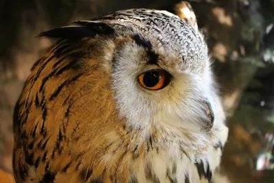 Illustration wised - Image 1