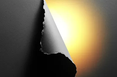 Illustration reveal - Image 1