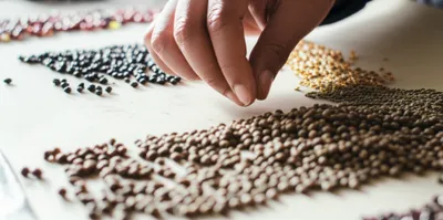 Illustration pick - Image 1