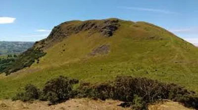 Illustration knob - Image 3