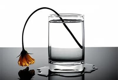 Illustration overdose - Image 1