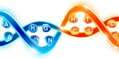 Illustration complementary - Image 1