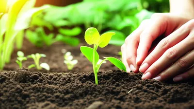 Illustration installing - Image 1