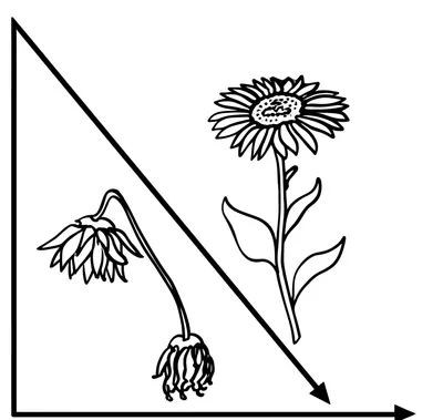 Illustration weakest - Image 1