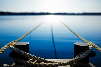 Illustration anchor - Image 1