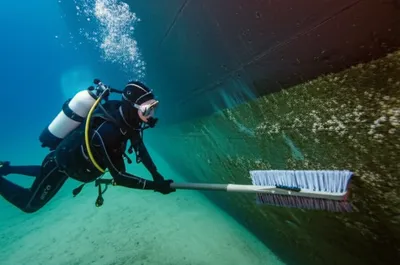 Illustration hogs - Image 1