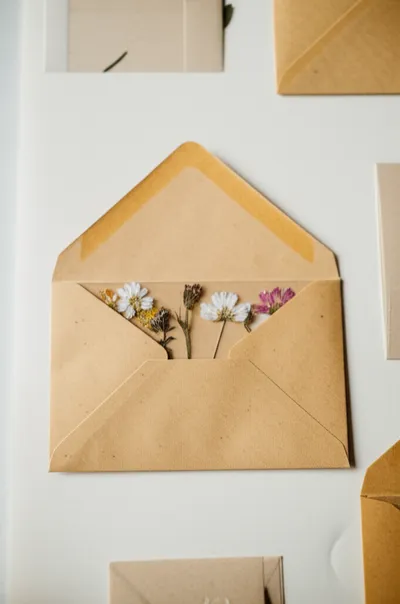 Illustration packets - Image 1