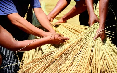 Illustration sheaf - Image 1