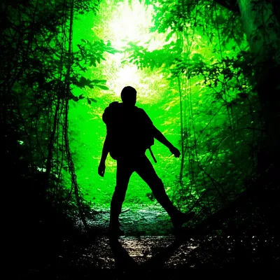 Illustration entered - Image 1