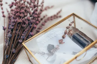 Illustration edges - Image 2