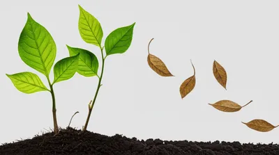 Illustration impaired - Image 1