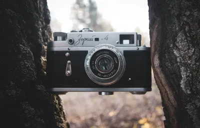 Illustration wedged - Image 3