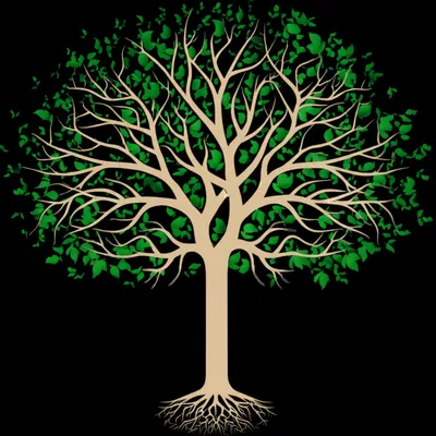 Illustration ramifications