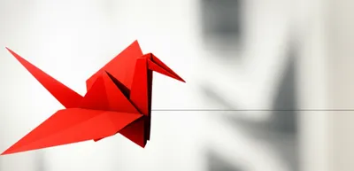 Illustration catch - Image 1