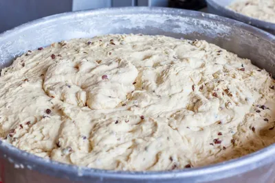 Illustration proofing - Image 2