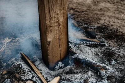 Illustration stake - Image 1