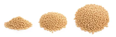 Illustration middlings - Image 1