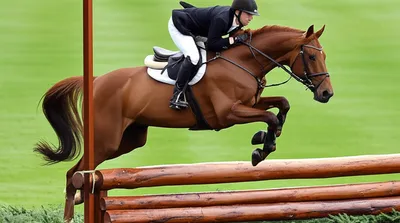 Illustration balks - Image 1