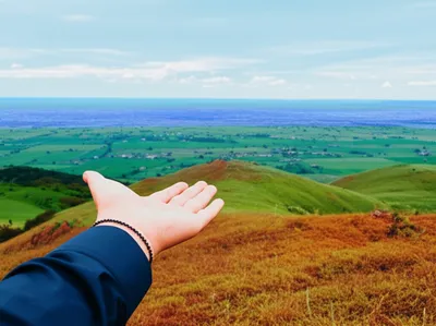 Illustration takes - Image 1