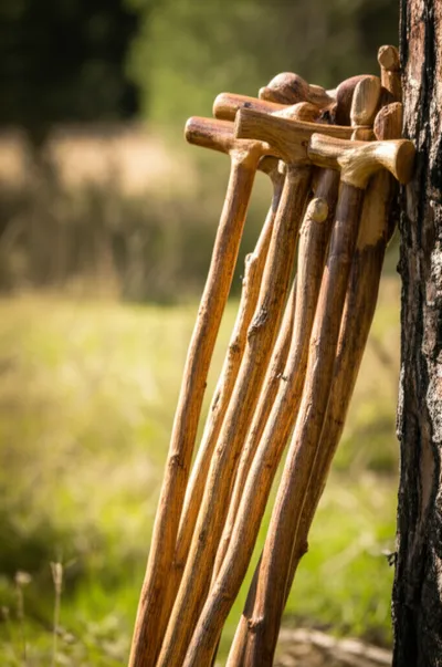 Illustration staffs - Image 2