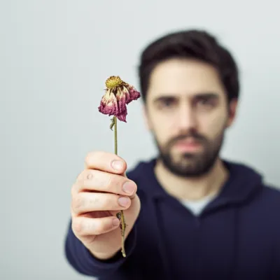 Illustration apologies - Image 1