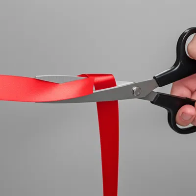 Illustration curtailing - Image 1