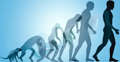 Illustration recapitulation - Image 1