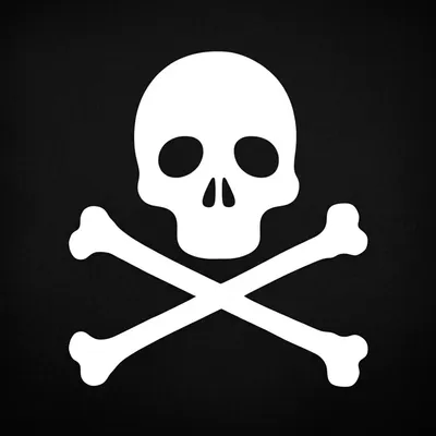 Illustration sculls - Image 1