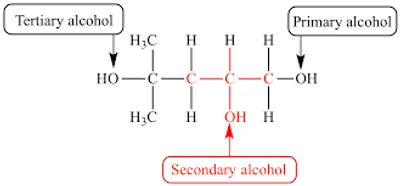 Hình ảnh minh họa secondary - Ảnh 2