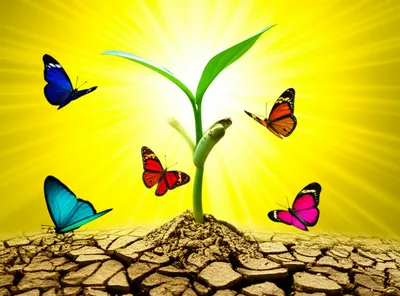 Illustration renascence - Image 1