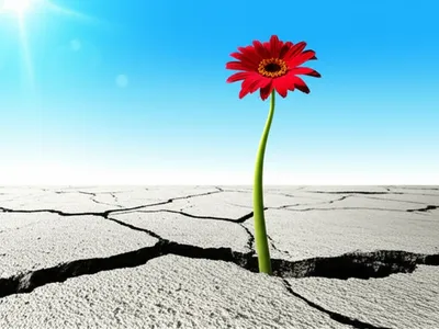 Illustration actualize - Image 1